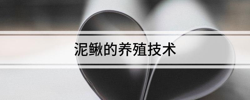 养殖泥鳅大全技术图解_泥鳅养殖技术的大全_养殖泥鳅养殖技术