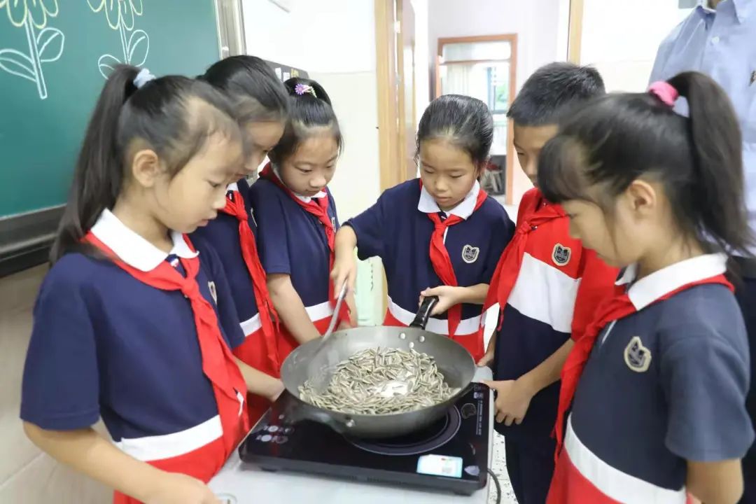 楼顶种植西瓜技术视频_楼顶种西瓜要搭架子吗_楼顶种西瓜需要多高的泥土