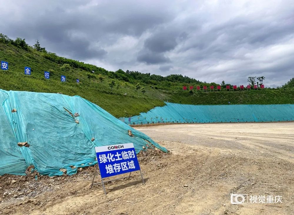 视频西瓜楼顶种植技术教程_楼顶种西瓜要搭架子吗_楼顶种植西瓜技术视频