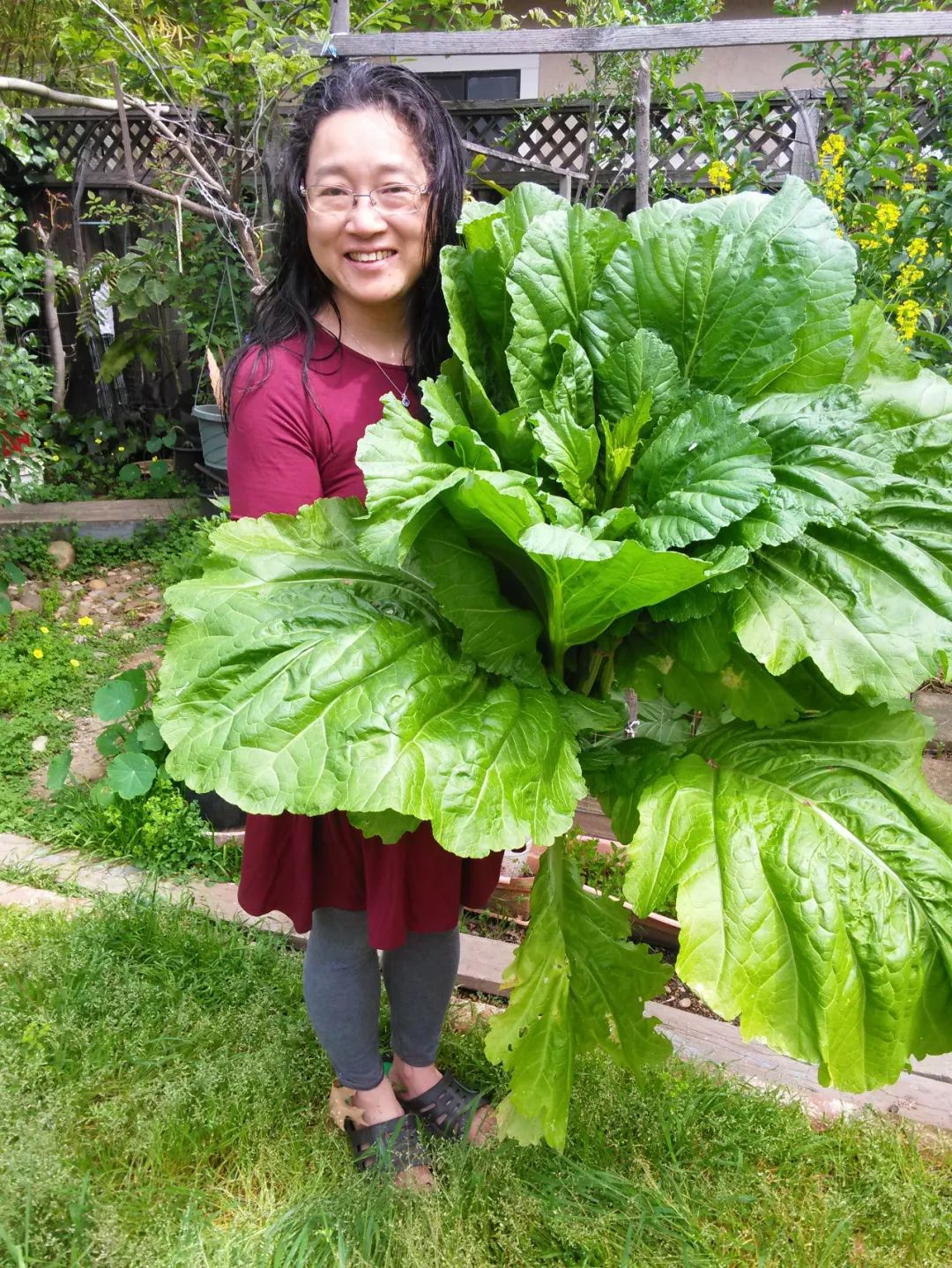 楼顶种西瓜需要多高的泥土_楼顶种植西瓜技术视频_楼顶西瓜种植与管理