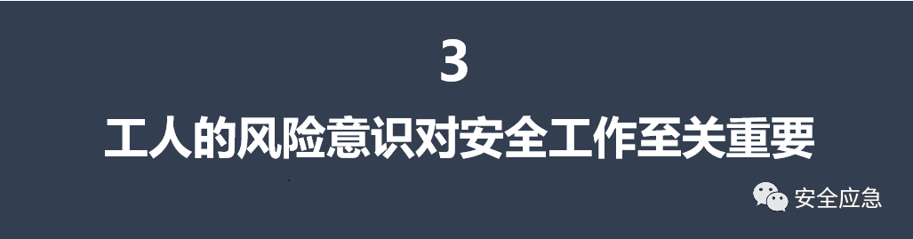 楼顶种植西瓜技术视频_西瓜种楼顶会不会被烫死_楼顶种西瓜要搭架子吗