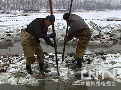 致富经梁建莲藕_致富经大棚莲藕_莲藕深加工致富经视频