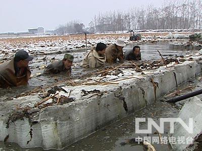 莲藕深加工致富经视频_致富经大棚莲藕_致富经梁建莲藕