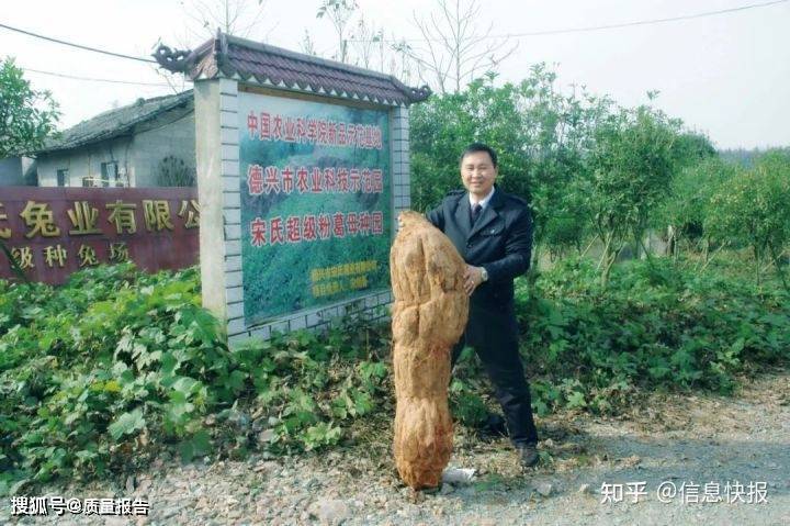 葛根种植技术致富经_致富经种葛根_葛根种植致富经