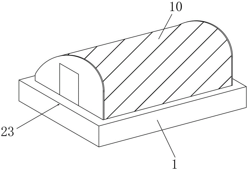 致富经养殖刺鳅_养殖刺鳅有销路吗_致富养殖刺鳅视频