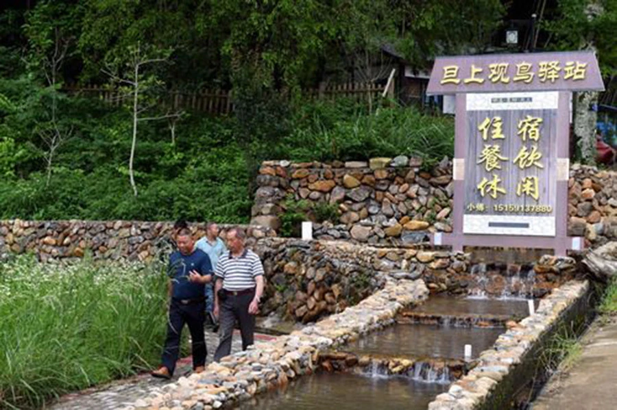 致富观赏养殖锦鸡怎么样_养殖锦鸡观赏致富_致富观赏养殖锦鸡视频