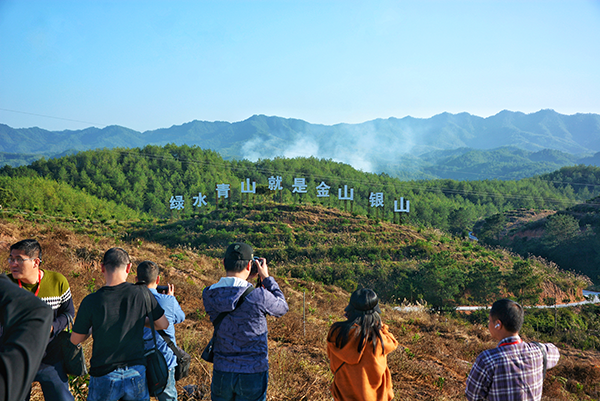 致富经竹林养鸡_竹林养鸡_致富经竹鸡养殖