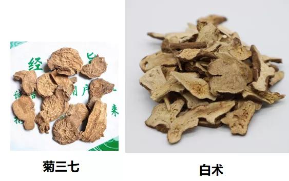 种植白术技术要点_种植白术技术有哪些_白术怎么种植技术