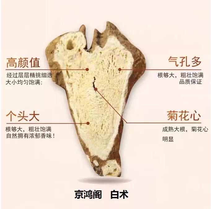 白术怎么种植技术_种植白术技术有哪些_种植白术技术要点