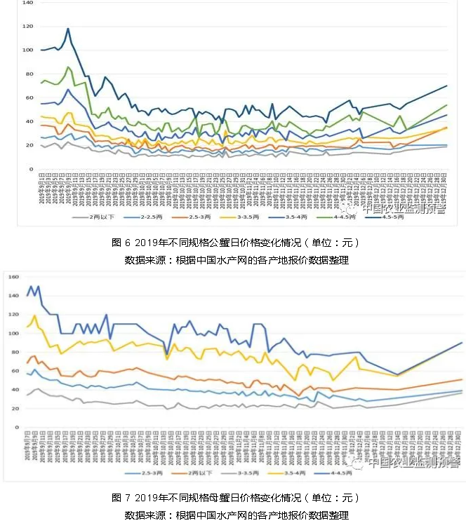 养殖锦鸡的利润_锦鸡养殖骗局_锦鸡养殖致富案例