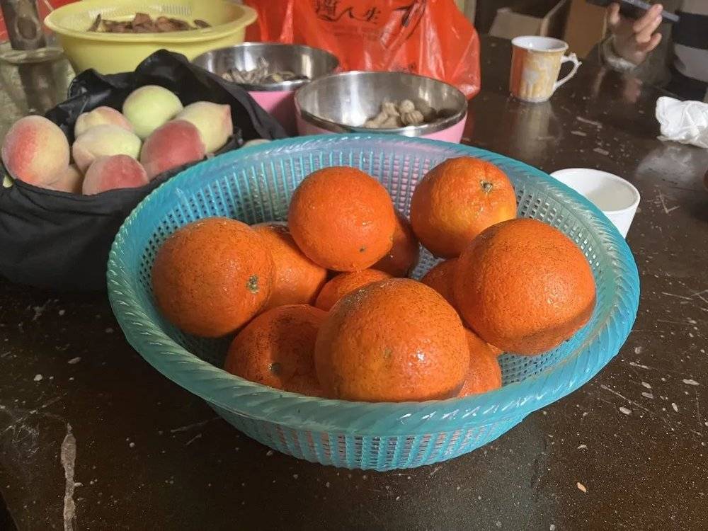 副业种植致富项目_致富种植创业项目_致富种植副业项目怎么样