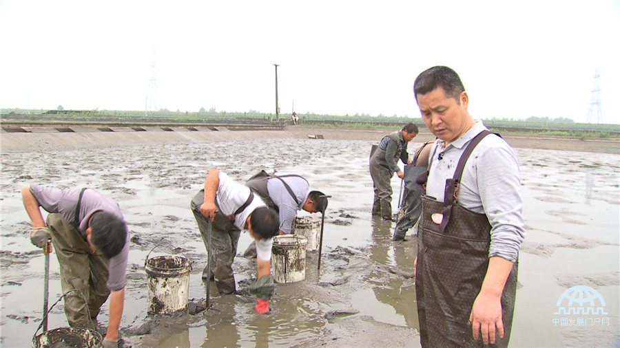 致富经把甲鱼分开买_致富经水库养8万甲鱼不见了_养甲鱼致富