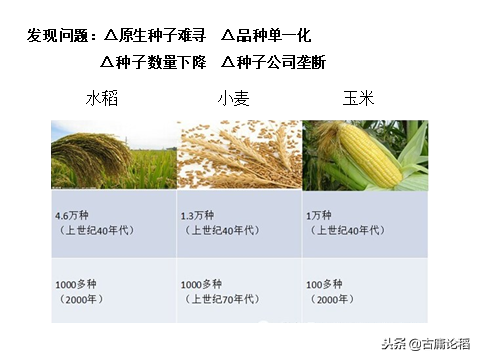 科技苑青蛙养殖技术_科技苑青蛙养殖技术_科技苑青蛙养殖技术