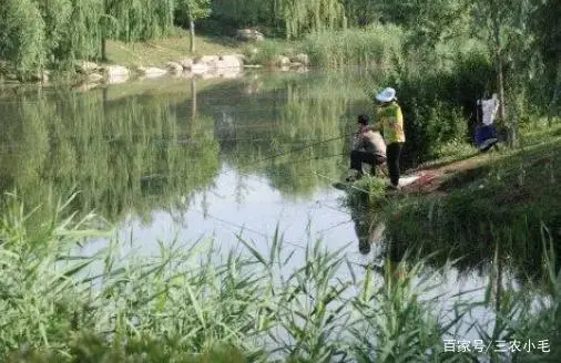 养殖泥鳅的_养殖泥鳅黄鳝利润有多高_黄泥鳅养殖致富