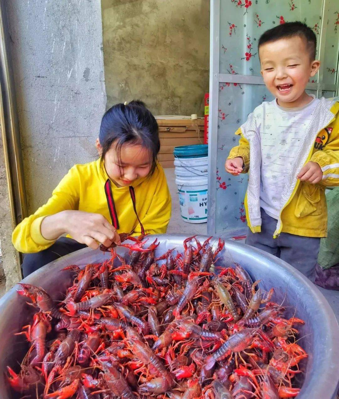 虾鳖赛跑带来的财富致富经_致富经虾_虾农致富经央视