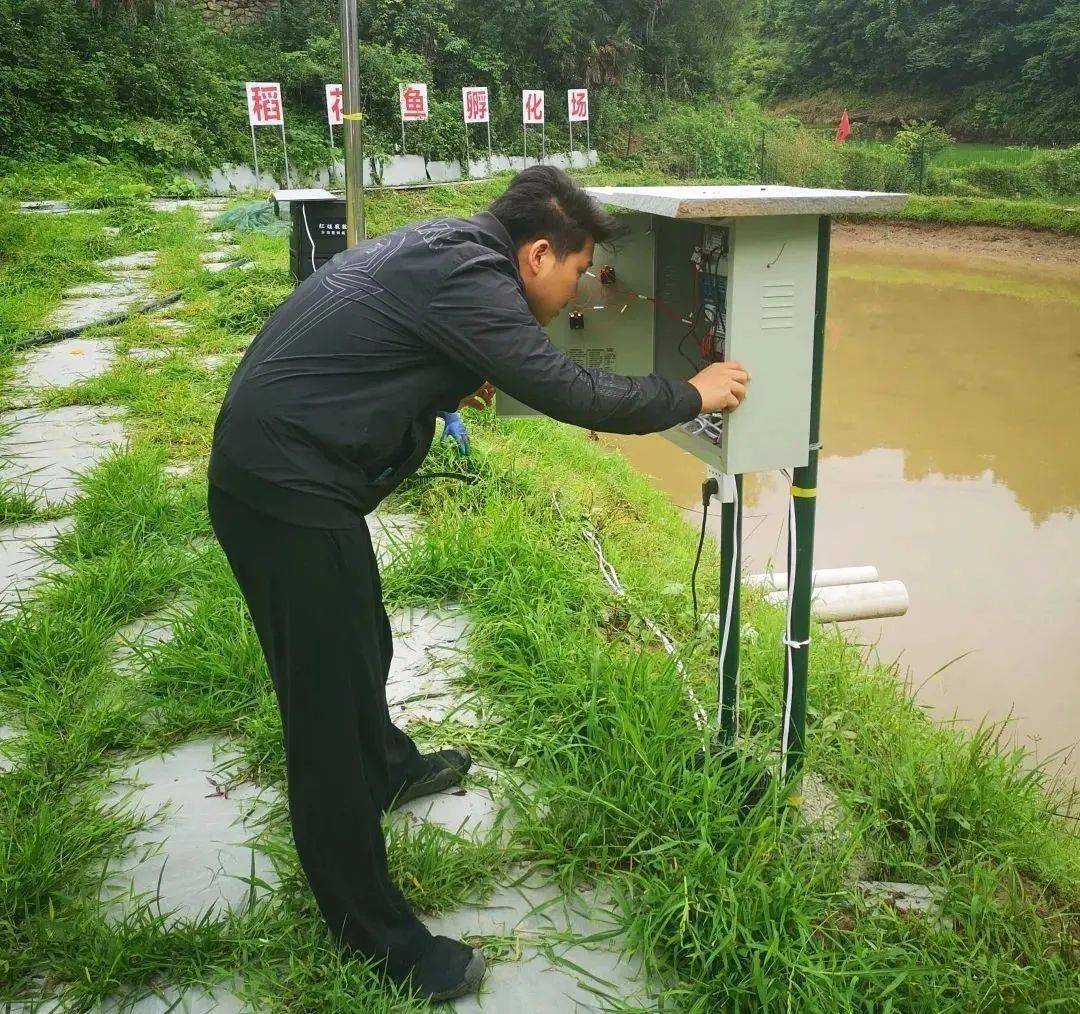 虾农致富经央视_致富经虾_虾鳖赛跑带来的财富致富经