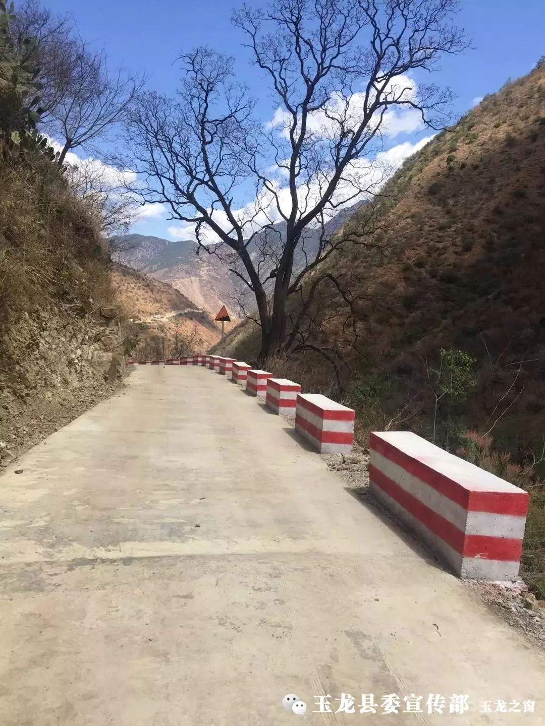 太和养殖致富项目_太和养殖场_太和养猪公司