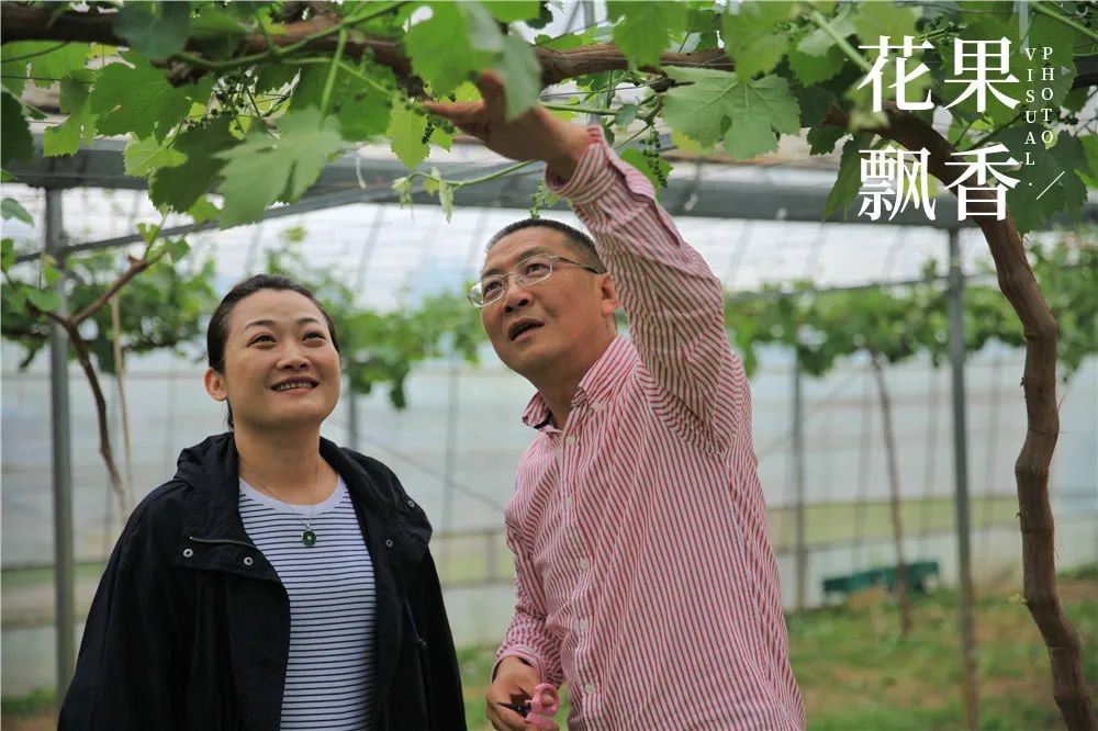 致富经 种花_致富经花卉种植_种花致富选什么品种