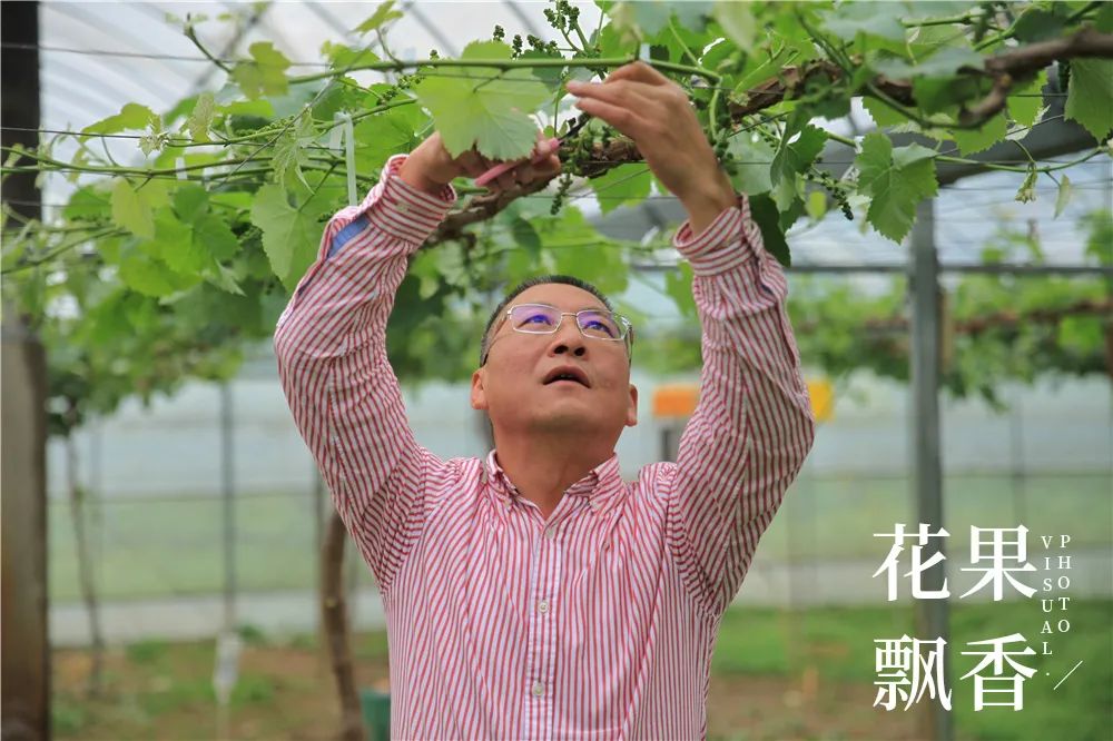 致富经 种花_种花致富选什么品种_致富经花卉种植