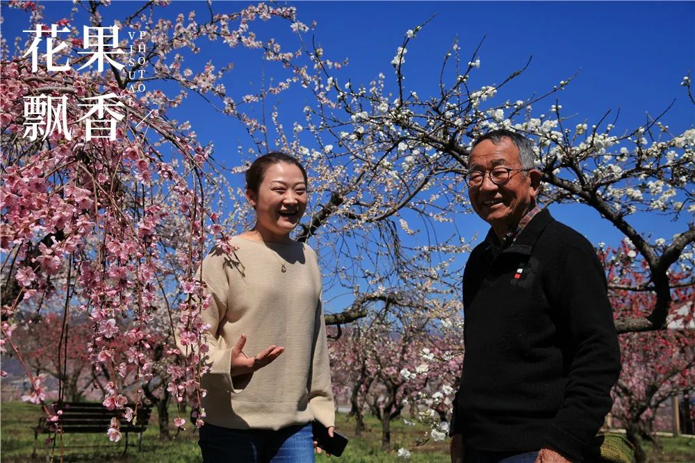 种花致富选什么品种_致富经花卉种植_致富经 种花