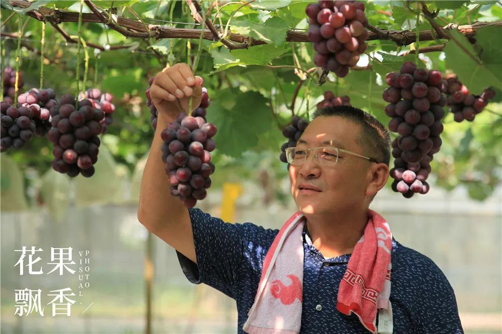 致富经 种花_致富经花卉种植_种花致富选什么品种