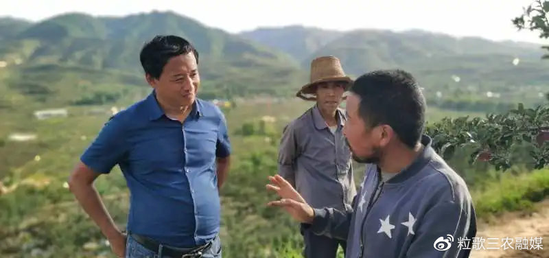 甘肃苹果花牛图片_致富经甘肃花牛苹果_甘肃花牛苹果几月成熟