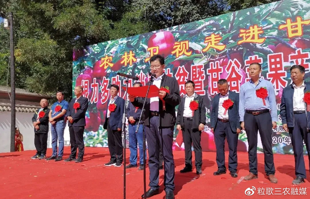 甘肃花牛苹果几月成熟_甘肃苹果花牛图片_致富经甘肃花牛苹果