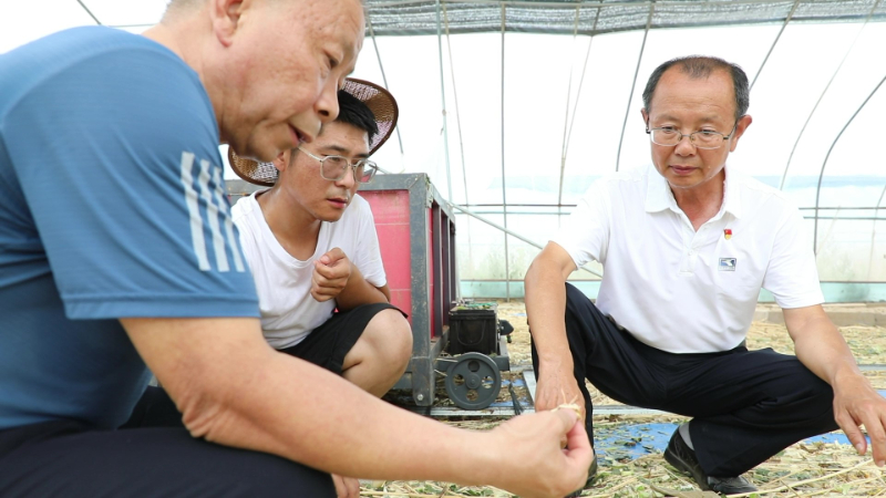 养殖泥鳅富豪_致富经红色泥鳅_泥鳅养殖致富