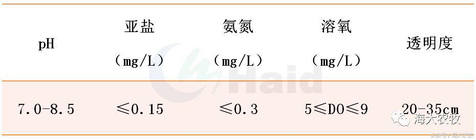 水花鱼苗养殖技术视频_怎样养殖水花鱼苗_鲮鱼水花最新养殖技术