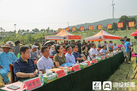 致富经核桃种植_致富核桃种植方法_核桃种植收益怎么样