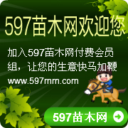 河南省卢氏县林科中核短枝核桃苗繁育基地