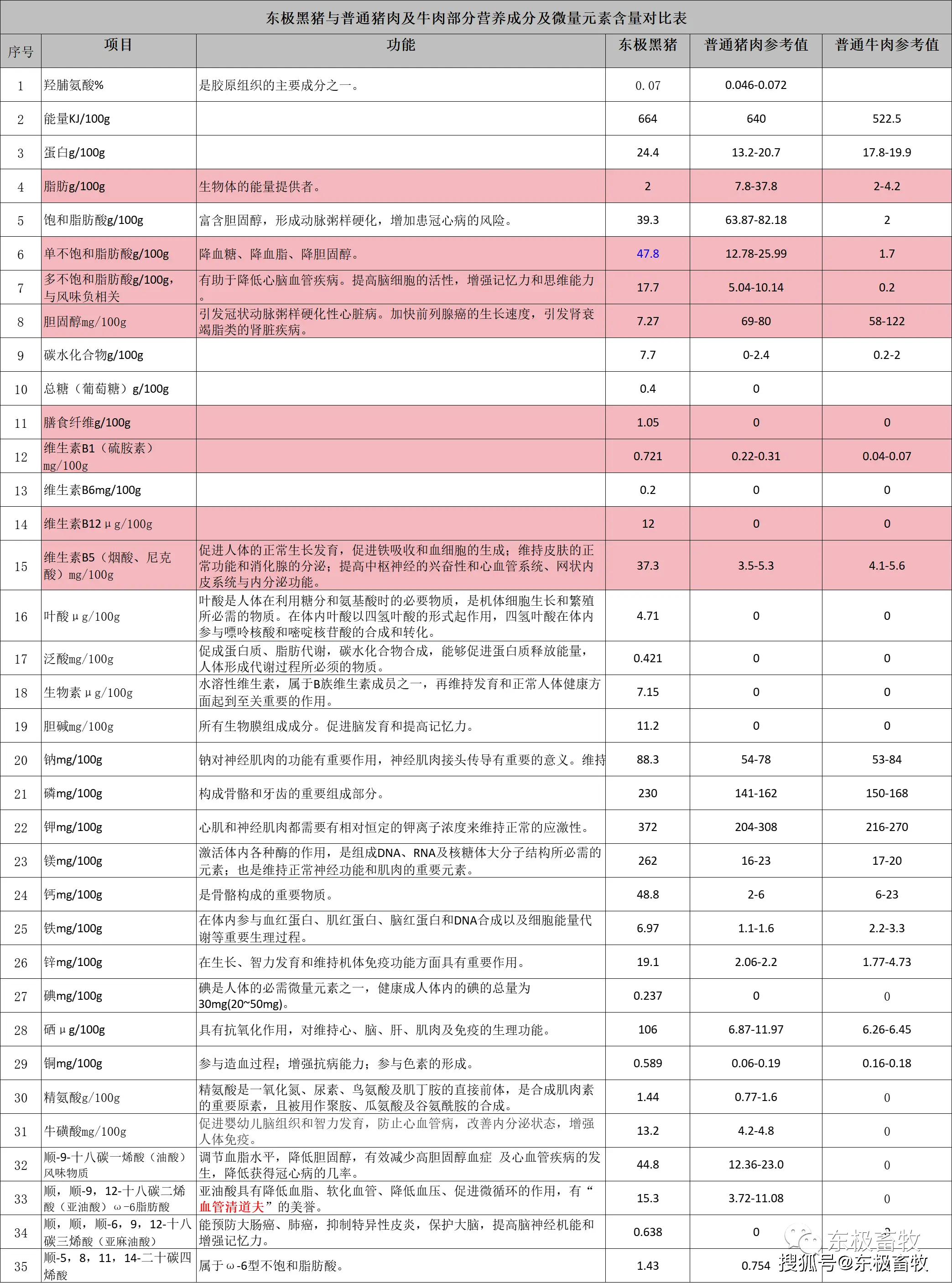 湖南黑豚的养殖视频_黑豚得养殖技术视频_黑豚的养殖前景