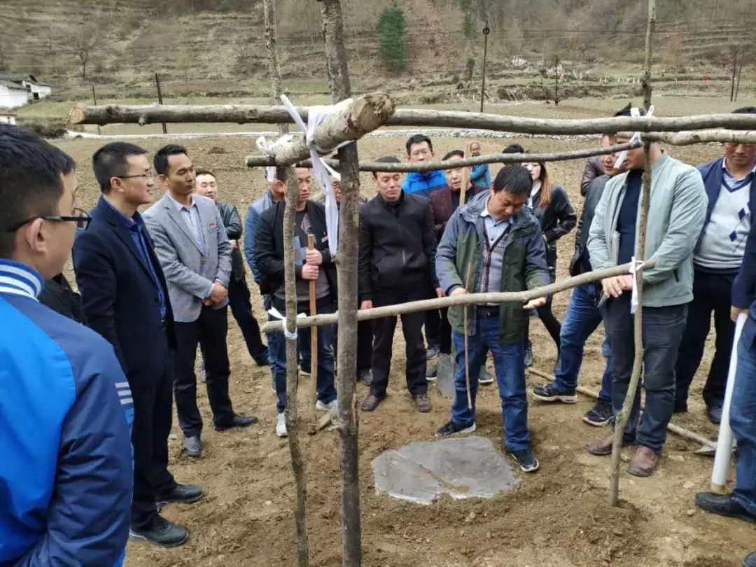 栽培南瓜种植技术要点_南瓜种植栽培技术_南瓜的栽培