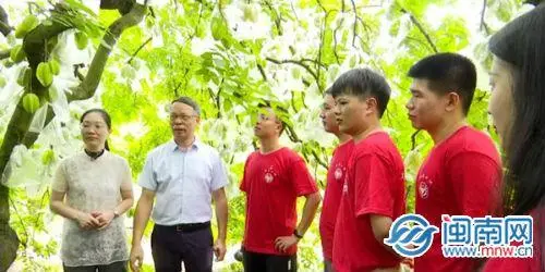 杨桃种植致富_致富种植杨桃怎么样_致富种植杨桃视频