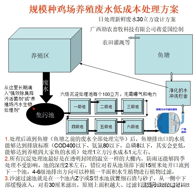 养殖鸡方案技术要点_养殖鸡方案技术规范_养殖鸡的技术方案