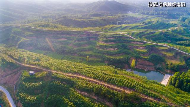 南召县：能人示范带动基地辐射带贫 特色产业成为致富良方