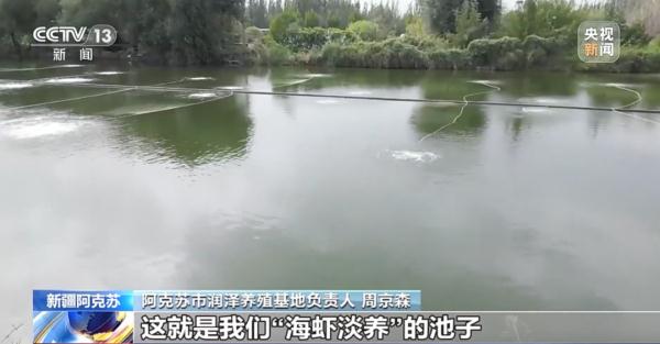 不止新疆有海鲜......那么问题来了→内陆没有“海”，如何养“海鲜”？