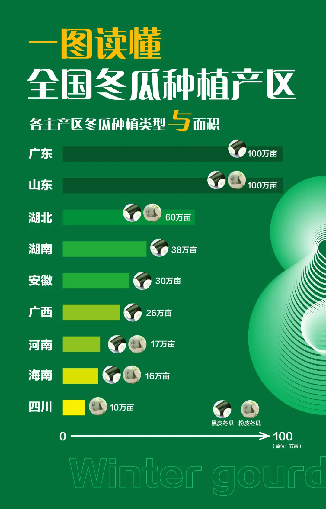 致富冬瓜种植视频_冬瓜高产种植技术视频_致富冬瓜种植