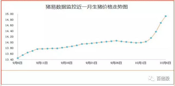 致富经养猪猪肉深_致富猪肉养猪赚钱吗_想致富养猪