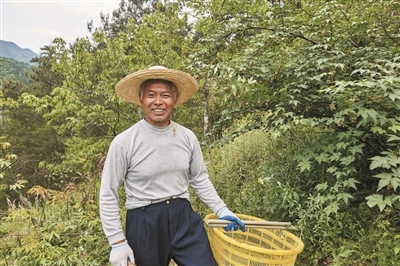 种植覆盆子经济效益前景怎么样_覆盆子种植是骗局吗_覆盆子 种植技术