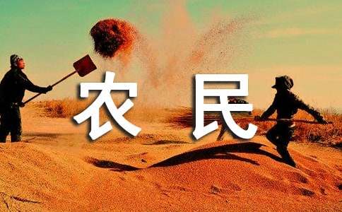 农民增收致富的几点建议