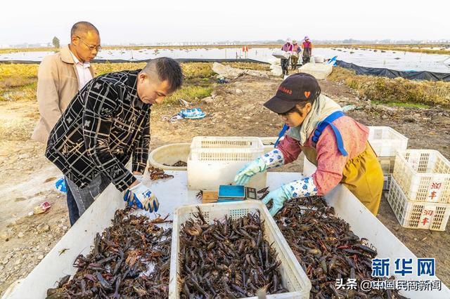 种养致富经_种植养殖致富_致富养殖