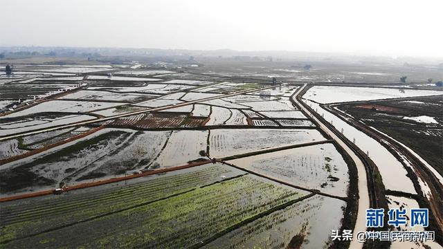 种养致富经_致富养殖_种植养殖致富