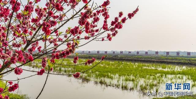 种植养殖致富_种养致富经_致富养殖