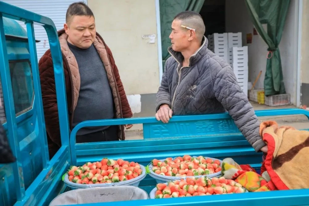 养殖大棚的_大棚种植养殖致富_大棚养殖什么利润高