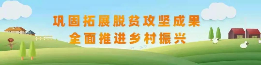 陕西省扎实推进果业种植、乡村旅游、搬迁扶持工作——富民兴业，结出幸福果