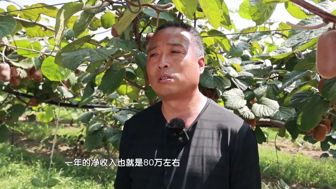 渭南高山种植致富_陕西渭南适合种植经济作物_渭南种植结构