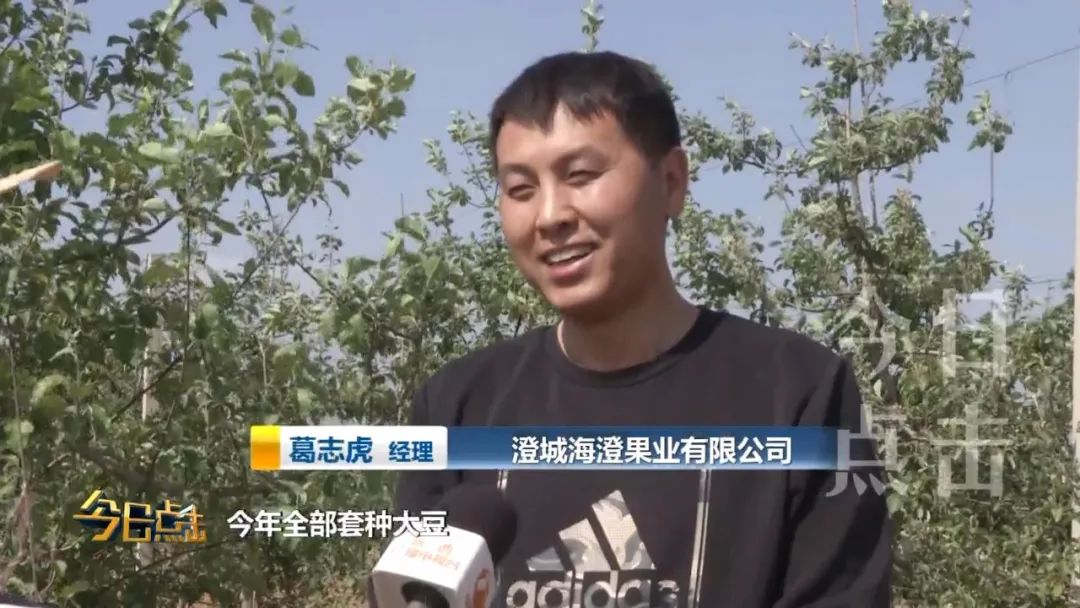 陕西渭南适合种植什么_适合于渭南种植的药材_渭南高山种植致富