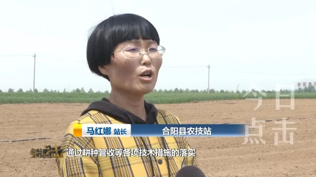 渭南高山种植致富_适合于渭南种植的药材_陕西渭南适合种植什么