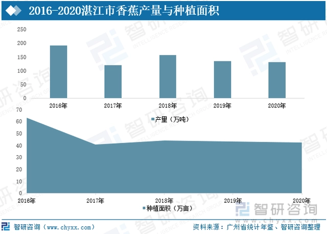 广东水果种植基地_广东水果种植面积_广东种植水果致富